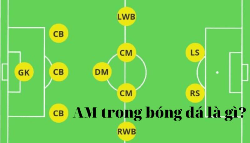 AM trong bóng đá là gì? Vì sao tiền vệ tấn công (AM) là chìa khóa trong bóng đá?